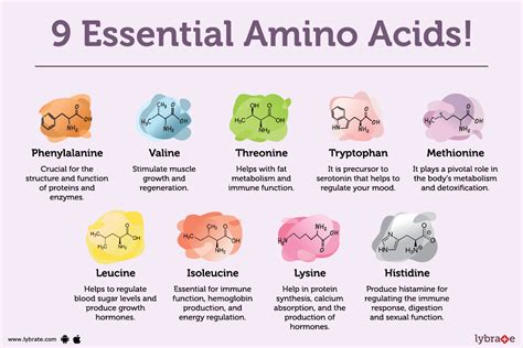 Essential Amino Acids By Dr Parwathy Murthy Lybrate Essential Amino Acids By Dr Parwathy Murthy Lybrate
