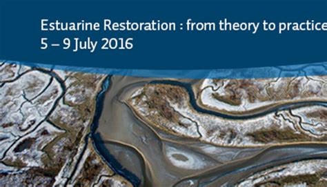 Estuarine Restoration