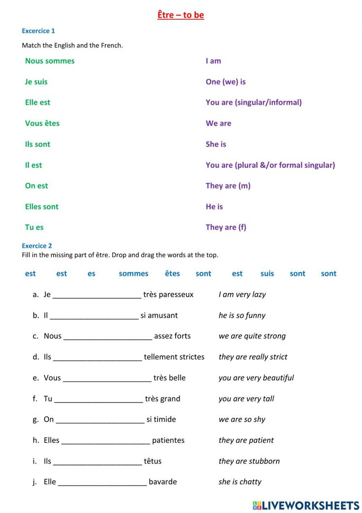 Etre And Avoir Worksheet