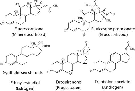 Examples Of The Structures Of Some Synthetic Steroid Hormones In The
