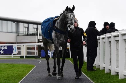 Exeter Races Exeter Racecourse Devon Uk 13 Feb 2022 Stock Pictures Exeter Races Exeter Racecourse Devon Uk 13 Feb 2022 Stock Pictures