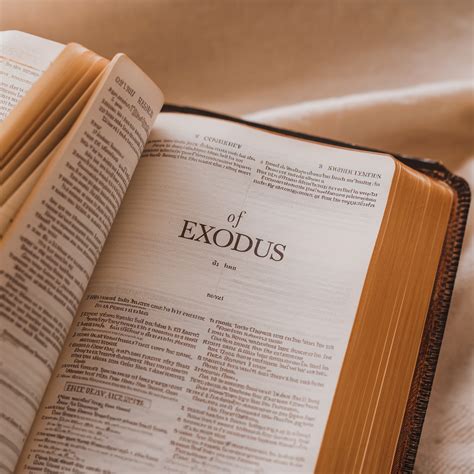 Exodus The Old Testament Bible Moxie