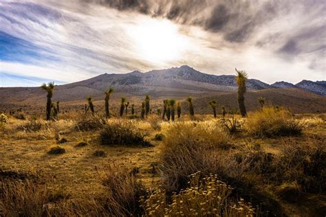 Experience The Hidden Gems Of Ridgecrest A California Oasis