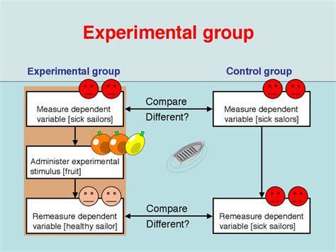 Experimental Group Meaning Explained: Unveil the Key to Scientific Research Success