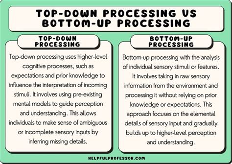 Explain The Difference Between Bottom Up And Top Down Processing Explain The Difference Between Bottom Up And Top Down Processing