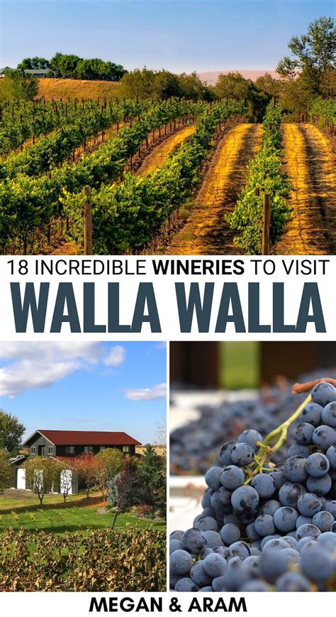 Explore The Best Walla Walla Valley Things To Do For Wine Lovers
