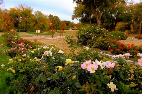 Explore Upcoming Events Amp Things To Do In Farmers Branch Tx United Explore Upcoming Events Amp Things To Do In Farmers Branch Tx United