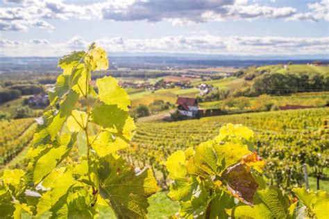 Exploring Images Browse 1 162 583 Stock Photos Vectors And Video Exploring Images Browse 1 162 583 Stock Photos Vectors And Video