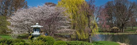 Exploring Japan House And The Japanese Arts Aesthetics Minor At Uiuc
