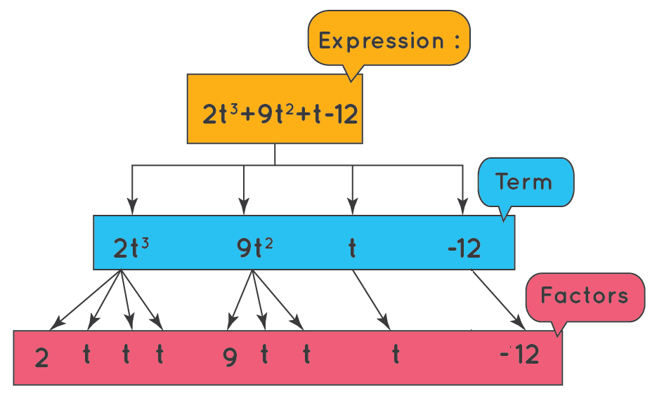 Expression Term Factor Coefficient Definition And Examples Cuemath Expression Term Factor Coefficient Definition And Examples Cuemath