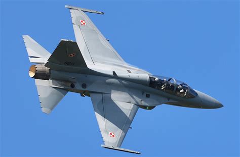 Fa 50 Golden Eagle 3Dp Train