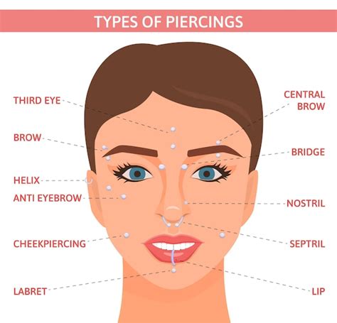 Face Piercing Diagram Face Piercing Diagram