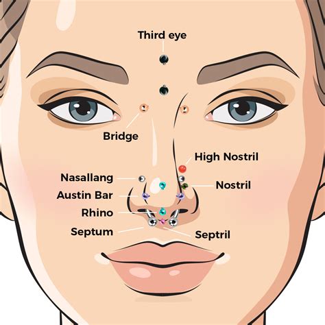 Face Piercings Names And Pictures Ear Piercing Names Ultimate Guide Face Piercings Names And Pictures Ear Piercing Names Ultimate Guide