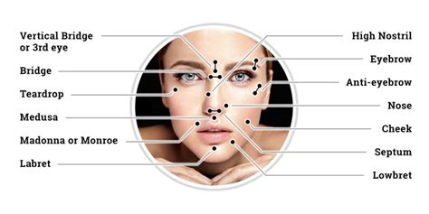 Face Piercings Names And Pictures Face Piercings Names And Pictures