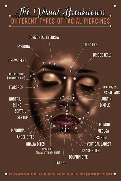 Facial Piercings Infographic Chart Poster Various Locations Of Face Facial Piercings Infographic Chart Poster Various Locations Of Face
