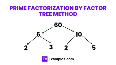 Factors Of 3 Prime Factorization Methods Tree And Examples