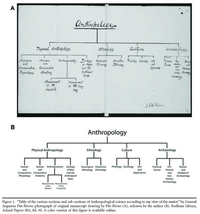 Fairness And In Equality U M Anthropology Four Field Symposium 2025 Fairness And In Equality U M Anthropology Four Field Symposium 2025