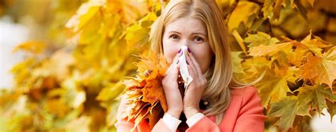 Fall And Winter Allergies What Patients Should Know Fall And Winter Allergies What Patients Should Know