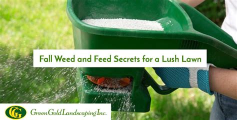 Fall Weed And Feed Secrets For A Lush Lawn Green Gold Landscaping Fall Weed And Feed Secrets For A Lush Lawn Green Gold Landscaping