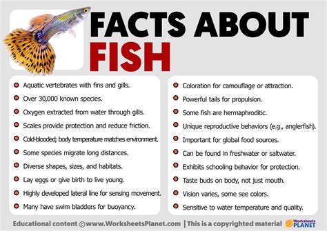 Fascinating Facts On Fish That Thrive In Freezing Waters Facts Fish