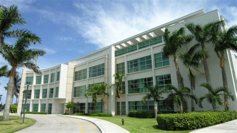 Fau Medical School