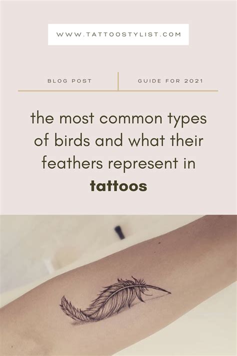 Feather Tattoo Ideas Guide On Meaning And History Artofit