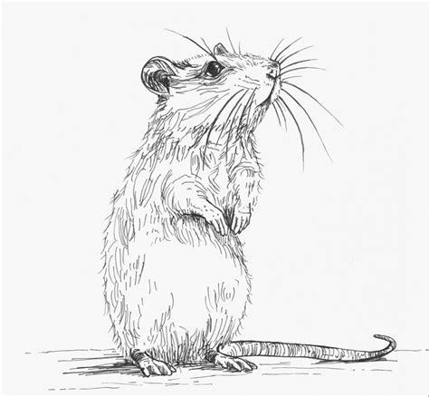 Feature Flowers For Su6 Yale Daily News