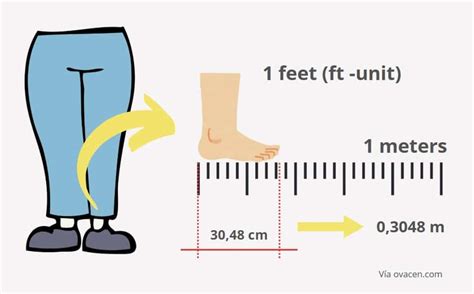 Feet To Meters Calculator Convert Feet Ft To M Ovacen