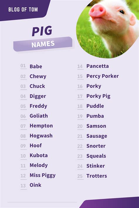 Female Pig Names