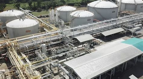 Ultimate Guide to Understanding Field PT and Its Benefits