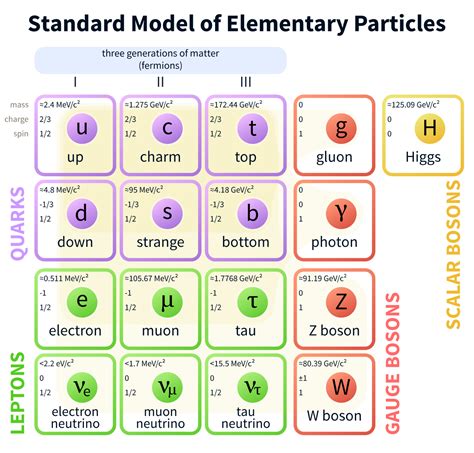 File Standard Model Of Elementary Particles Svg Elementary Particle