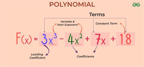 Find The L C M Of The Following Polynomial Expressions A Ax 2 Ax A Find The L C M Of The Following Polynomial Expressions A Ax 2 Ax A