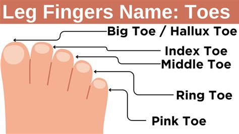 Fingers and Toes Health Tips