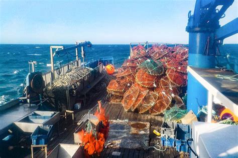 Fishery Observing In The Canyons About 100 Miles Southeast Of New York