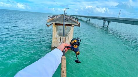 Fishing 7 Mile Bridge Marathon Florida Video In 2024 Fishing Hook