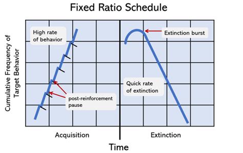 Fixed Ratio Schedule Explained