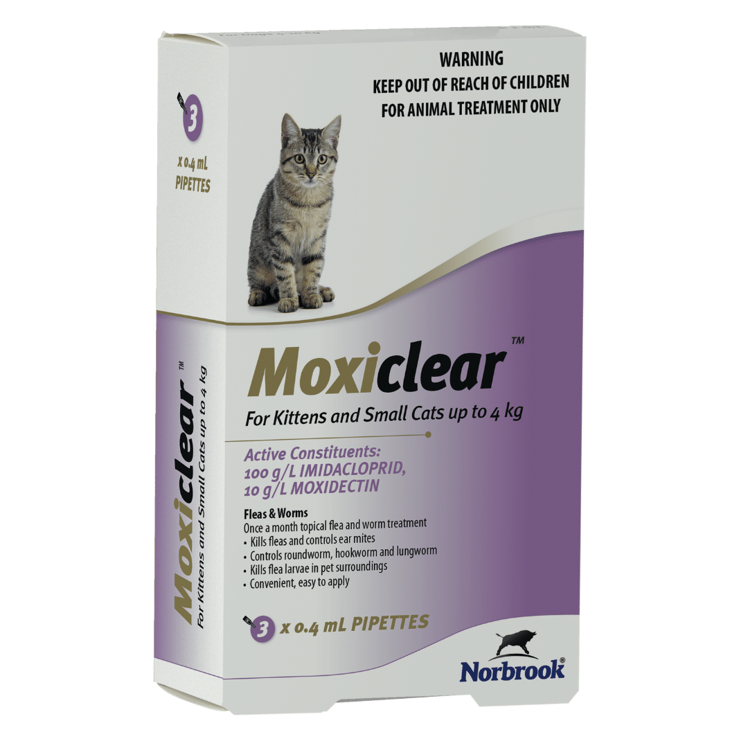 Flea And Worm Treatment For Cats Uk