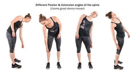 Flexion Extension In Detail Tom Morrison