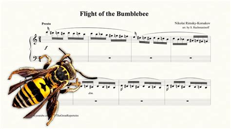 Flight Of The Bumblebee Rimsky Korsakov Youtube Flight Of The Bumblebee Rimsky Korsakov Youtube
