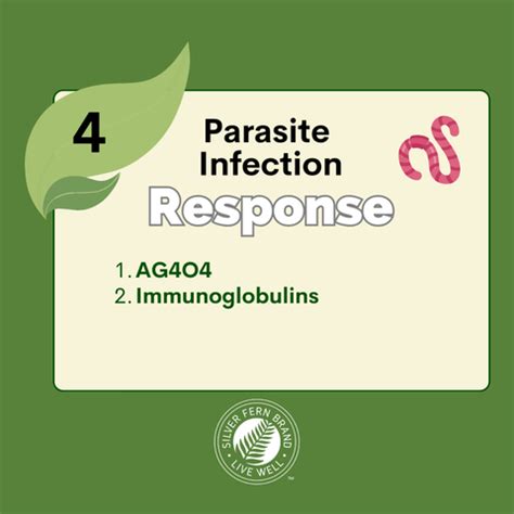 Floating Smelly Oily Fatty Stools Gut Health Digestive Enzymes Silver Fern Brand Floating Smelly Oily Fatty Stools Gut Health Digestive Enzymes Silver Fern Brand
