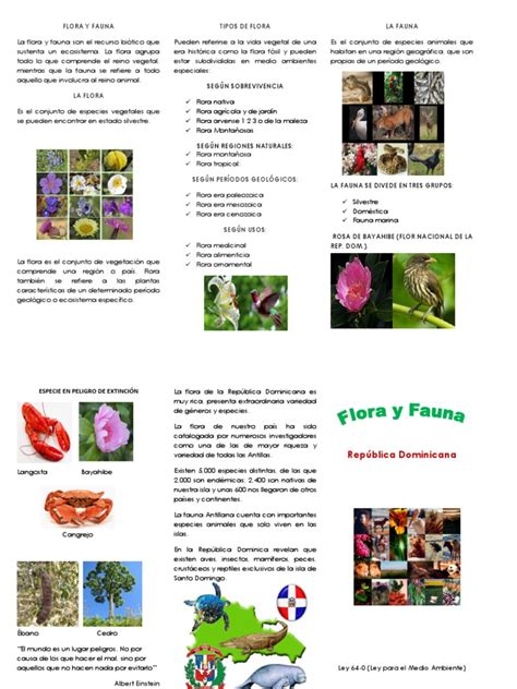 Flora Y Fauna Brochure Flora Fauna Flora Y Fauna Brochure Flora Fauna