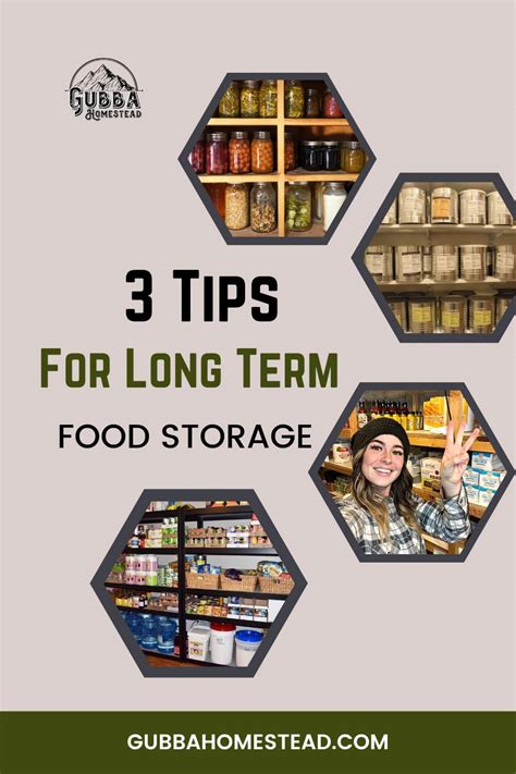 Food Storage Tips And Techniques For Long Term Preservation Schooltube Food Storage Tips And Techniques For Long Term Preservation Schooltube