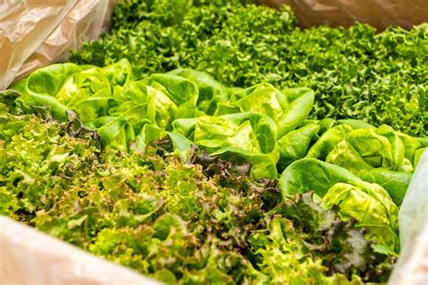 Foodservice Vertical Acres Farm Fair Oaks In