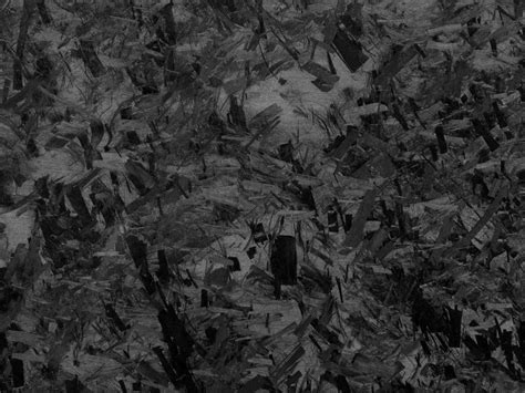 Forged Carbon: The Ultimate Material for High-Performance Gear