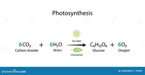 Photosynthesis Formula Explained
