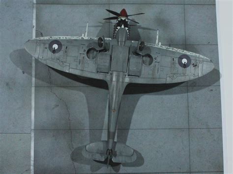Four Eyed Shark Supermarine Spitfire Mk Viii 1 48 Eduard Raaf