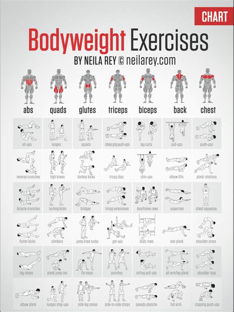 Free Bodyweight Exercise Chart