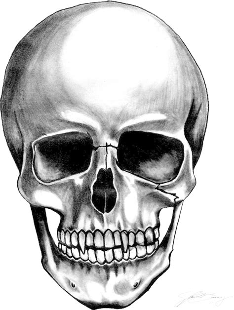 Free Skull Drawing Png Images With Transparent Backgrounds Fastpng Com