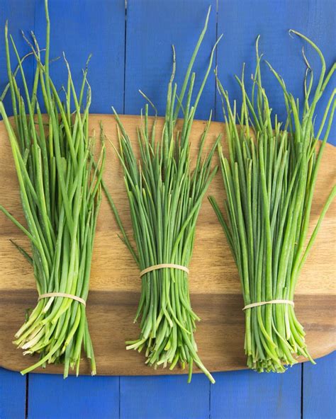 Fresh Chives: Tips for Growing and Using Them in Your Kitchen