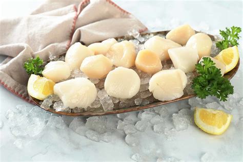 Fresh Large Dry Sea Scallops 10 20 Pine Tree Seafood Fresh Large Dry Sea Scallops 10 20 Pine Tree Seafood
